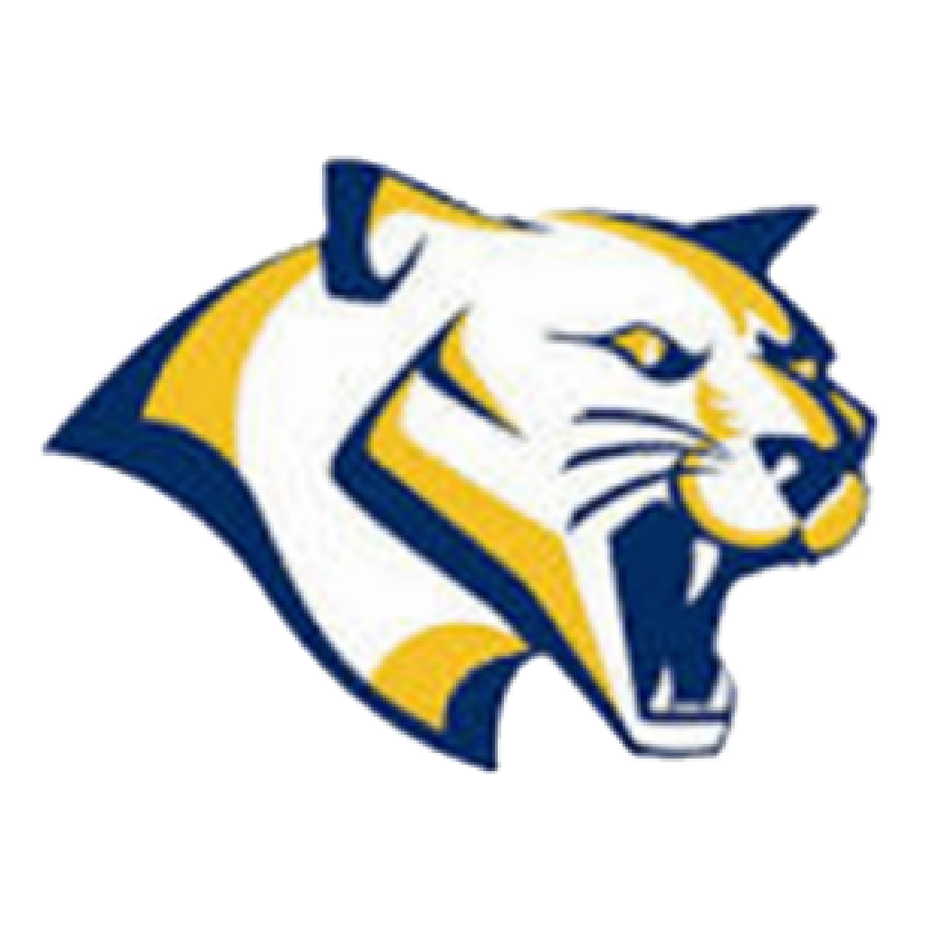 Panther mascot