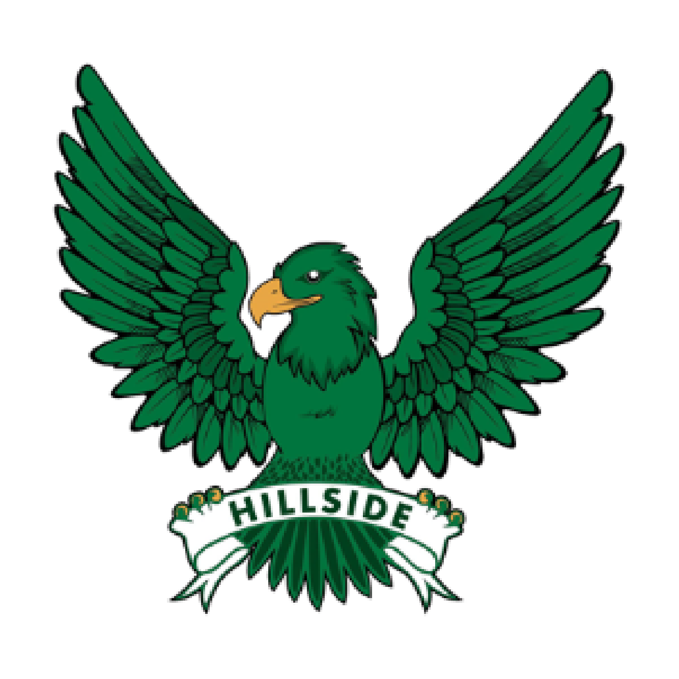 Hillside Eagle mascot